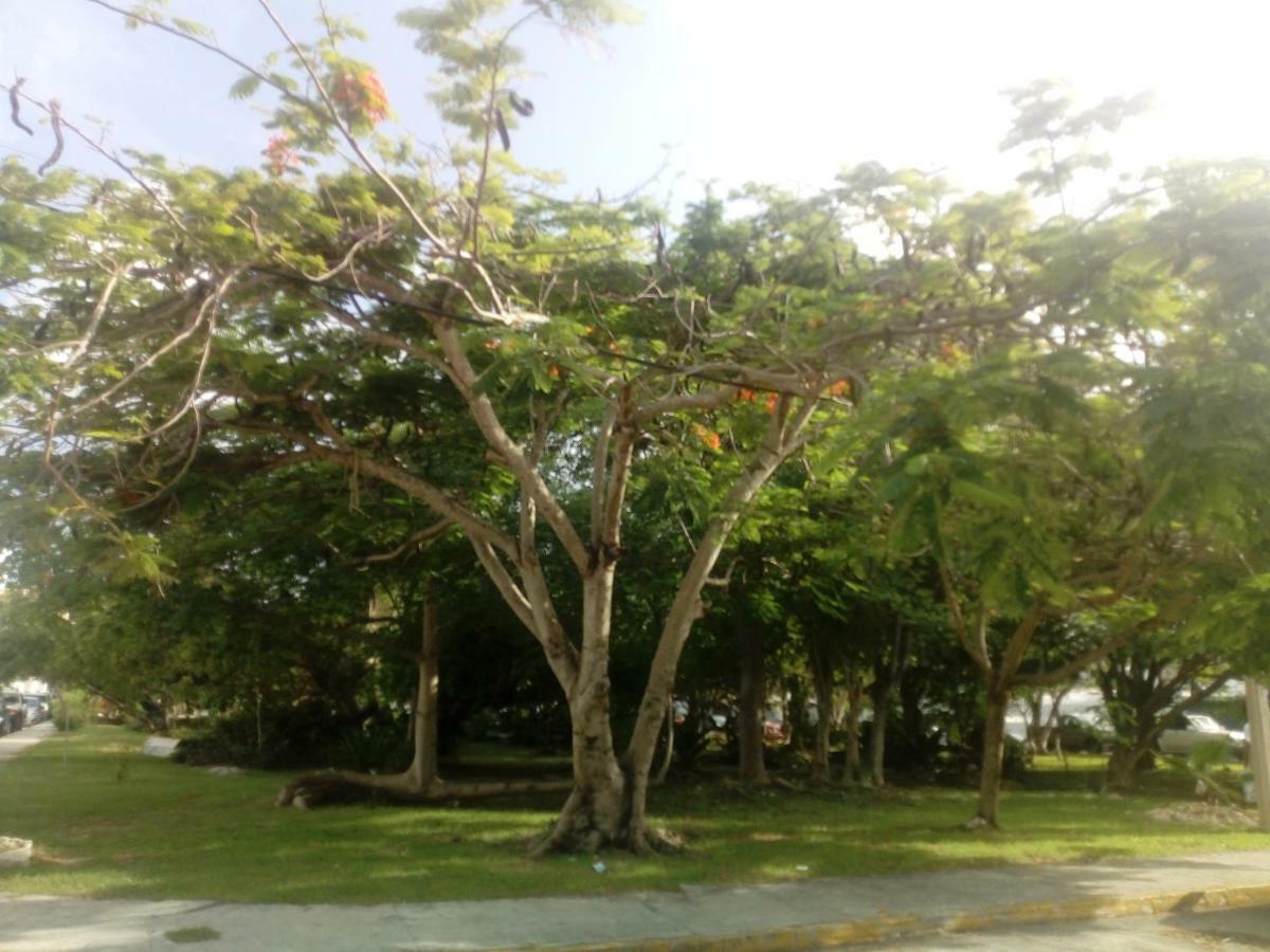 Cielito Lindo Bed & Breakfast Cancun Bagian luar foto