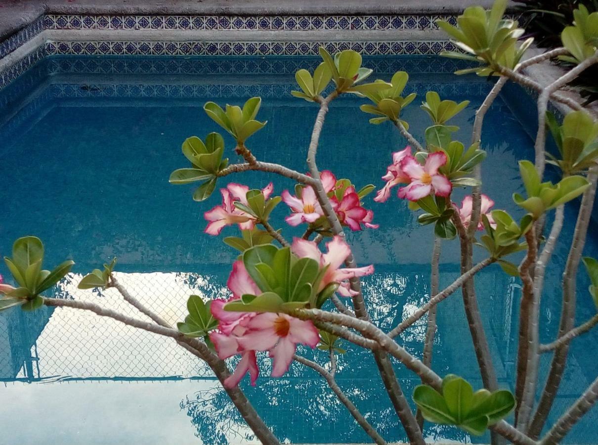 Cielito Lindo Bed & Breakfast Cancun Bagian luar foto